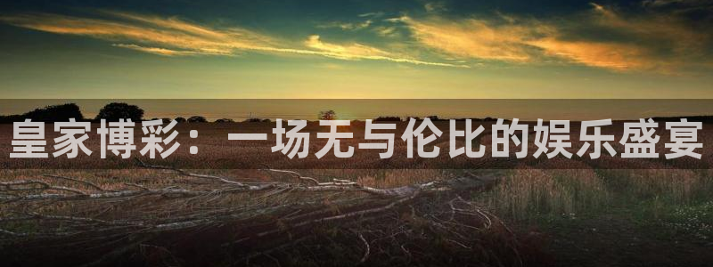 星欧娱乐pg：皇家博彩：一场无与伦比的娱乐盛宴