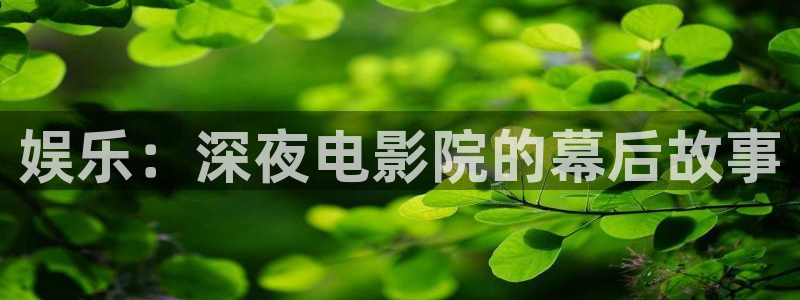 星欧娱乐体育官网入口登录：娱乐：深夜电影院的幕后故事