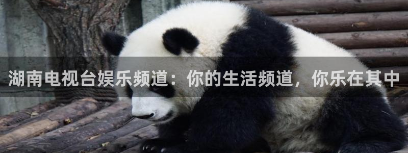 星欧娱乐注册链接：湖南电视台娱乐频道：你的生活频道，你乐在其中