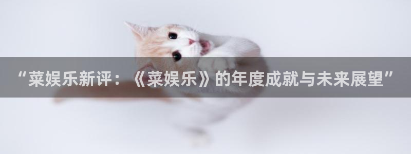 星欧娱乐5注册：“菜娱乐新评：《菜娱乐》的年度成就与未来展望”