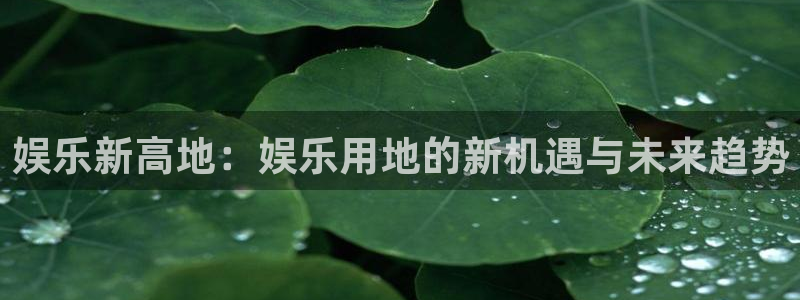星欧娱乐集团：娱乐新高地：娱乐用地的新机遇与未来趋势