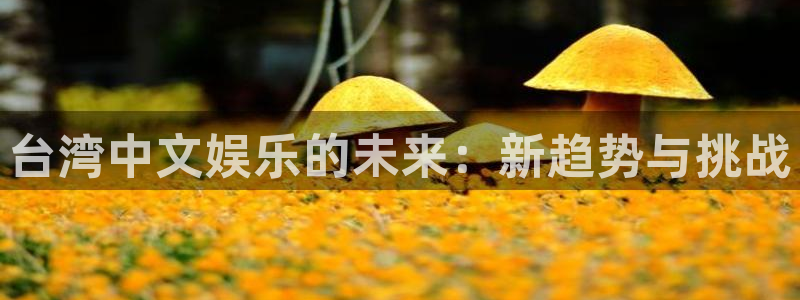 星欧娱乐4注册：台湾中文娱乐的未来：新趋势与挑战