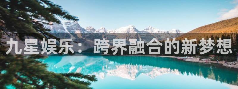 星欧娱乐是正规平台吗：九星娱乐：跨界融合的新梦想