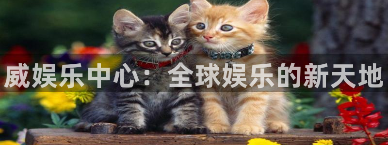 星欧娱乐平台开户链接：威娱乐中心：全球娱乐的新天地