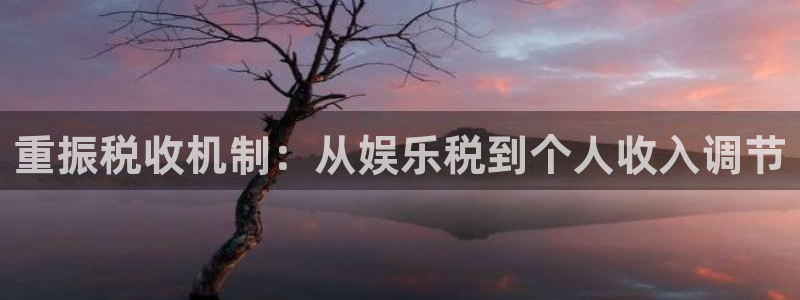 星欧娱乐平台招商：重振税收机制：从娱乐税到个人收入调节