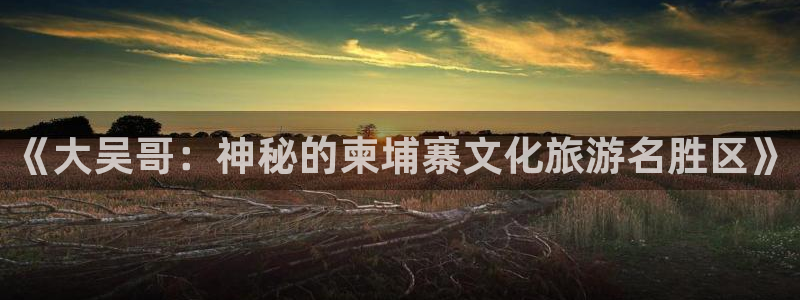 上海星欧娱乐汽车电子有限公司：《大吴哥：神秘的柬埔寨文化旅游名胜区》