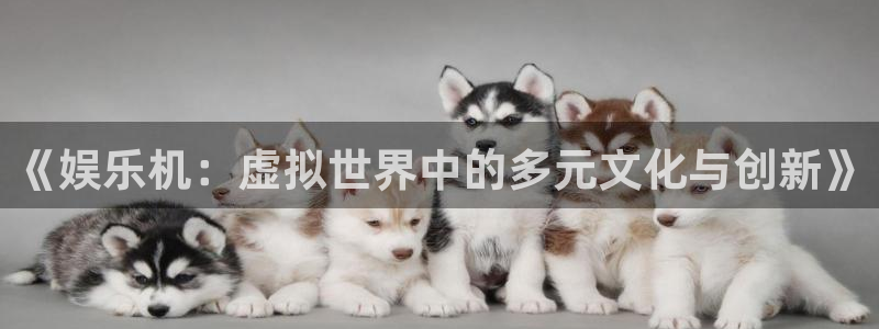 星欧娱乐现在优惠多少：《娱乐机：虚拟世界中的多元文化与创新》