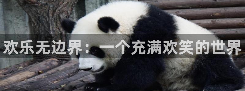 星欧娱乐f凯捷注册：欢乐无边界：一个充满欢笑的世界