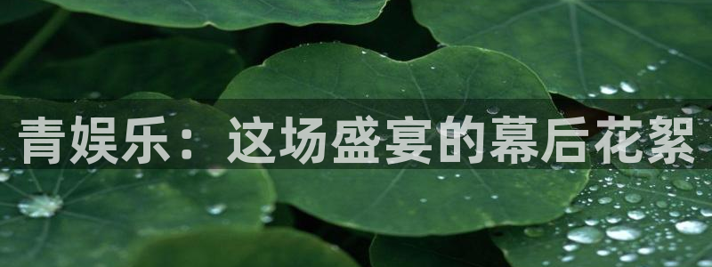 星欧娱乐体育eon：青娱乐：这场盛宴的幕后花絮