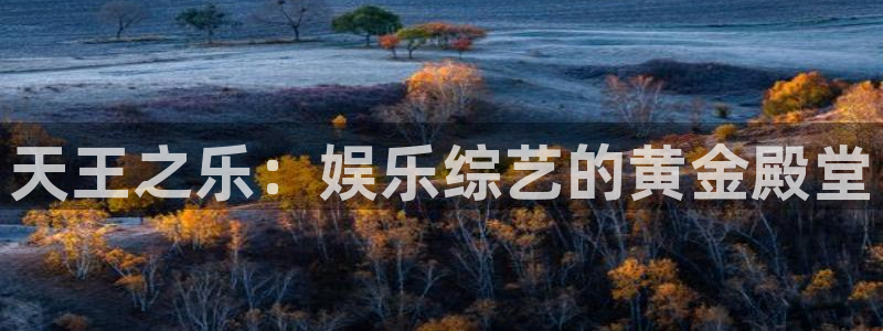 下载星欧娱乐：天王之乐：娱乐综艺的黄金殿堂