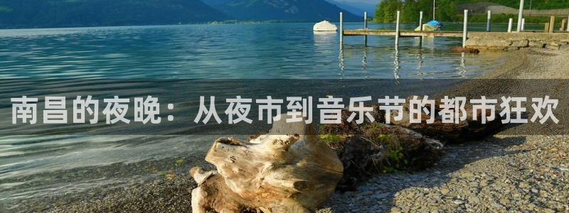 下载星欧娱乐：南昌的夜晚：从夜市到音乐节的都市狂欢