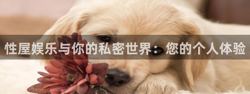 星欧娱乐平台下载入口：性屋娱乐与你的私密世界：您的个人体验