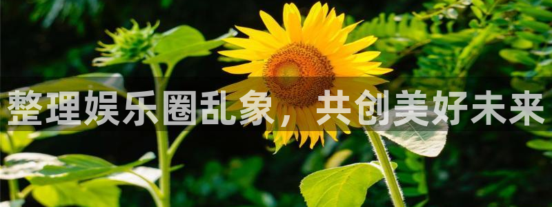 星欧娱乐游戏官网入口：整理娱乐圈乱象，共创美好未来