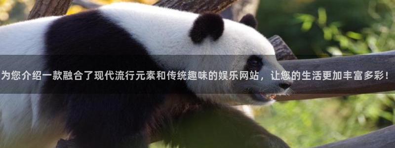 星欧娱乐手机版下载：为您介绍一款融合了现代流行元素和传统趣味的娱乐网站，让您的生