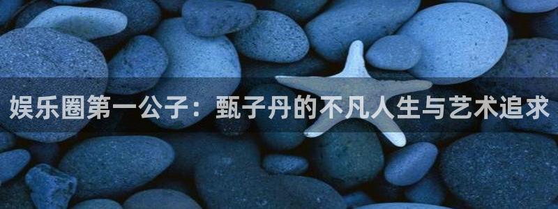 星欧娱乐平台最新版本下载：娱乐圈第一公子：甄子丹的不凡人生与艺术追求