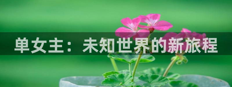 星欧娱乐能源：单女主：未知世界的新旅程