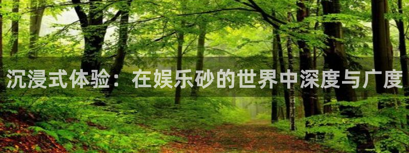 星欧娱乐2官网：沉浸式体验：在娱乐砂的世界中深度与广度